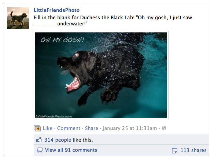 Facebook Engagement