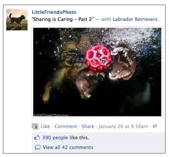 Facebook Engagement