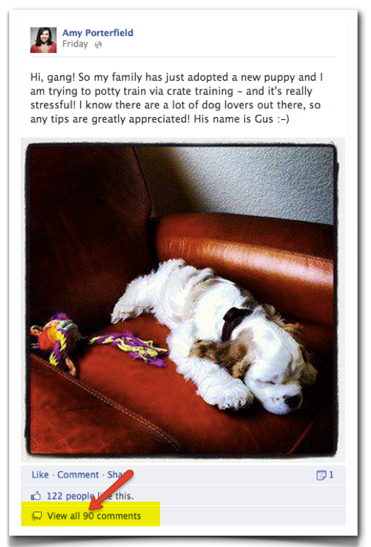 gus on coach