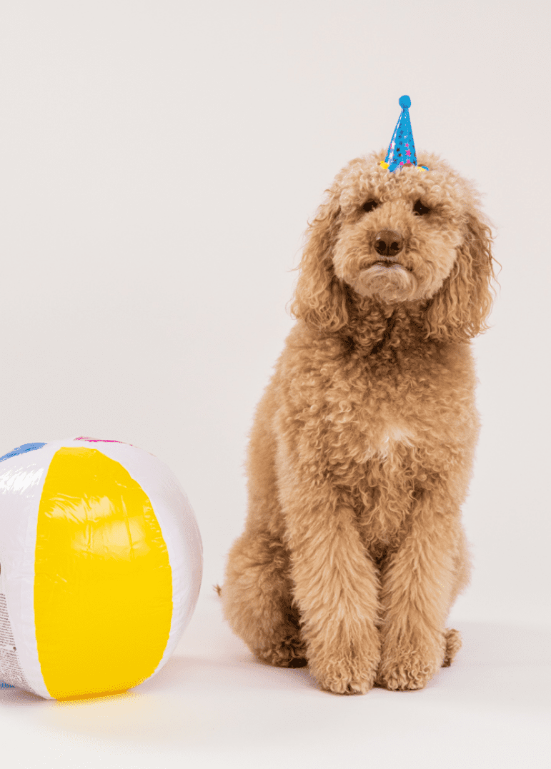 scout wearing a hat and standing next to beach ball